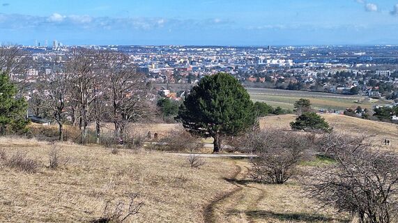 Foto von Regina Fleischmann entlang der Tour