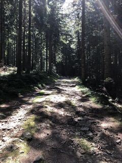 Fotografia z Josef Pauli 1 na trase