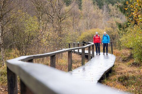 Wanderer auf dem Steg im Hochmoor Mecklenbruch