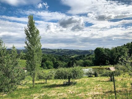 schilcherland - rebenland – ein perspektivenwechsel_img_50131848