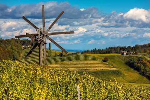 Aussicht vom Stermetzberg Richtung Weingut Gross