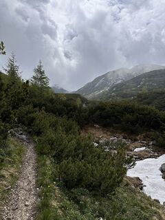 Foto von Babs Holz entlang der Tour