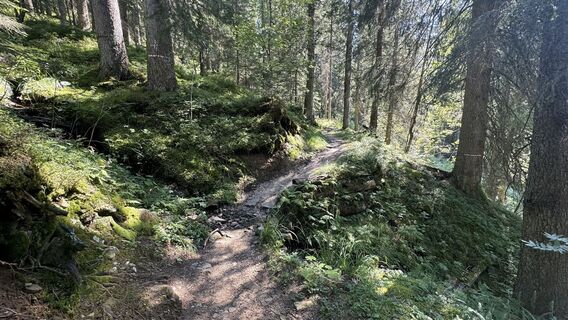 Foto von peter_oe entlang der Tour