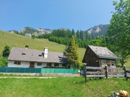 Foto från Hans-Jörg Galle under resans gång