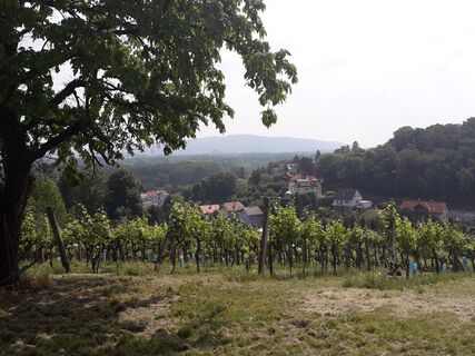 Rastplatz Weinberge