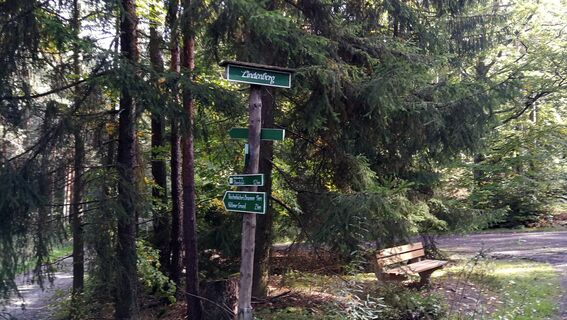 Von Hütten zur Sternkreuzung und zum Waldhaus