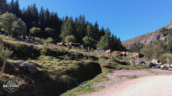 Foto von Jacky belzung entlang der Tour
