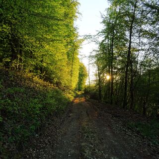 Hans-Baumeister-Weg, Wiesensteig