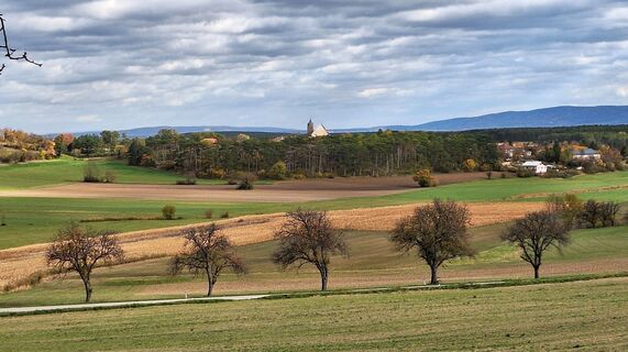 Foto fra Regina Fleischmann underveis på turen