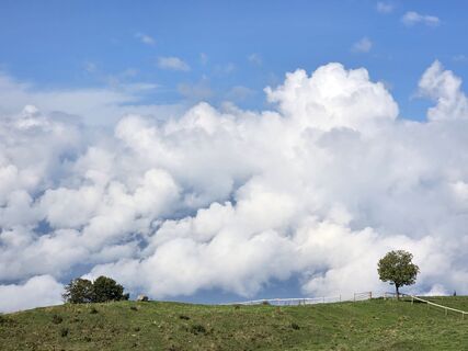 Photo de Noreen (NoKe) le long du parcours