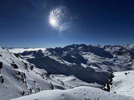 Foto von Paua Bär entlang der Tour