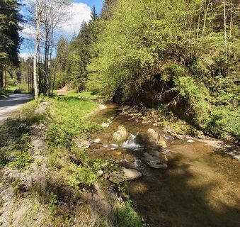 Entlang der Raab in Arzberg, Naturpark Almenland in der Oststeiermark