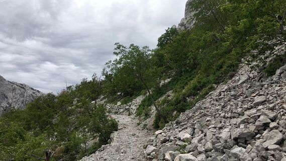 Foto de Lomalinda a lo largo del recorrido