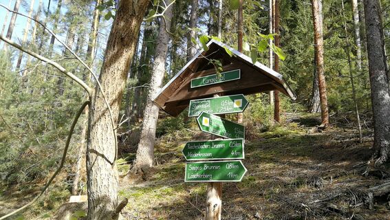 Von Hütten zur Sternkreuzung und zum Waldhaus