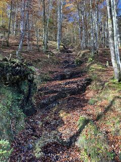 Fotografia z Thomas Waage na trase