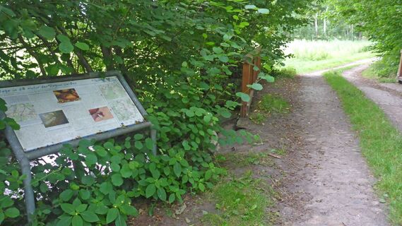 NABU-Infotafel zum Bornbach