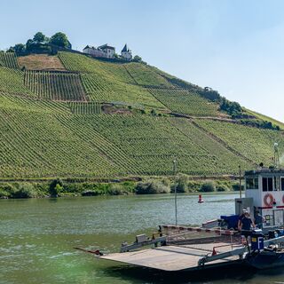Fähre in Pünderich
