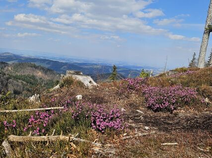 Fotografia z ElkeA na trase
