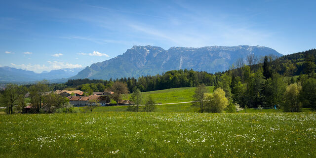 260503 - Höglrunde