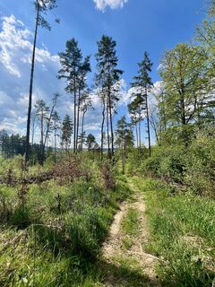 Fotografia z Václav Stejskal na trase