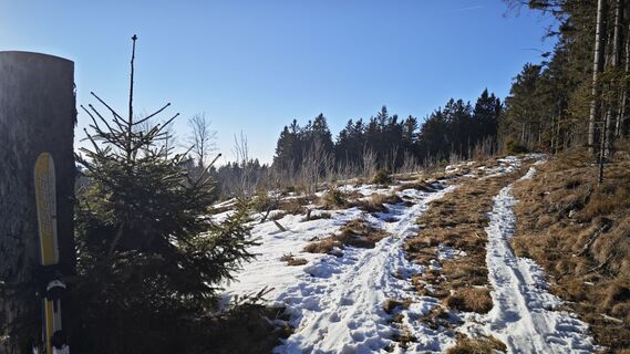 Fotografia z prager64 na trase