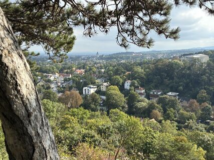 Photo de Martin1967 le long du parcours