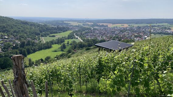 Fotografija s spletne strani outdoor_rue na poti