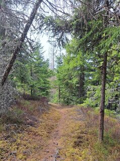 Fotografia z karin magnes na trase