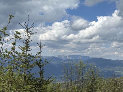 Foto från Erich Trattner under resans gång