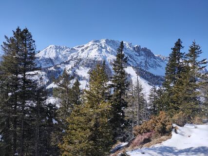 Foto de Daniele Bertorelle a lo largo del recorrido