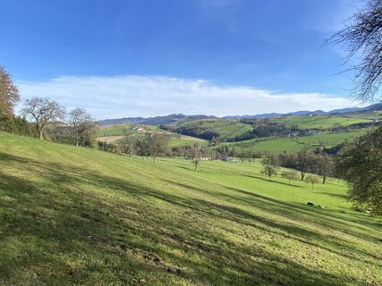 Photo de Biernase1 le long du parcours