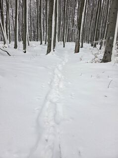 Foto von János Zsolt Mahr entlang der Tour