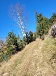 Foto von Franz Bauer 9 entlang der Tour