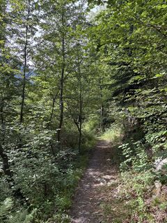 Foto von Stucki Sven entlang der Tour