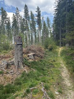 Foto von Aquaalta entlang der Tour