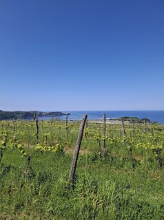 Fotografia z Andi na trase