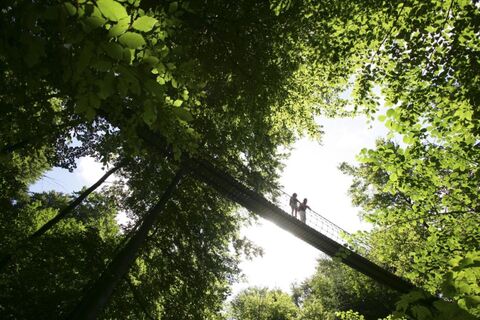Hängebrücke bei Kühhude am Rothaarsteig