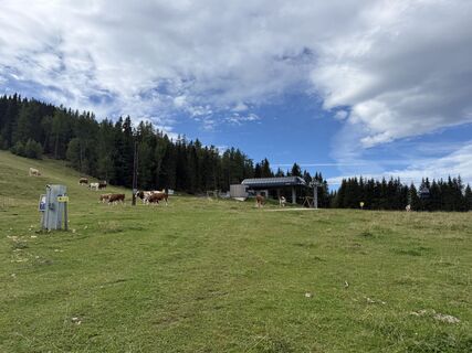 Foto von Sven Reiter entlang der Tour