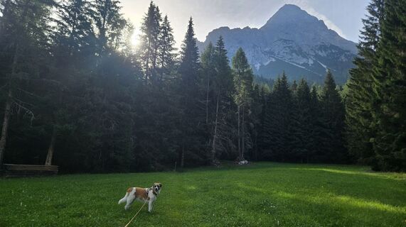 Foto von Klaus Reinhold entlang der Tour