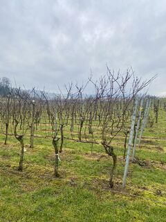 Photo de Christian Mark le long du parcours