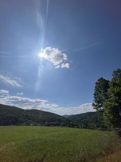 Fotografia z RS76 na trase