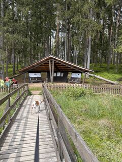 Fotografie z Babs Holz na trase