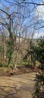 Fotó a Ewald Reil 1 honlapról a túra során