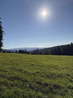 Foto de Andreas Vogel 1 a lo largo del recorrido