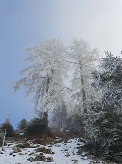 Foto von Daniela König 1 entlang der Tour