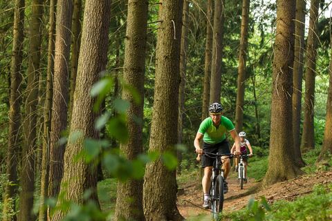 Mountainbiken Waldviertel
