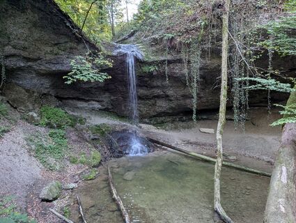 Photo de WolBo le long du parcours