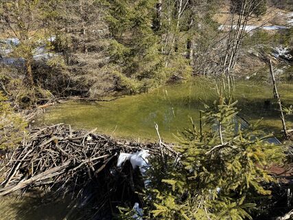 Foto von Denise Miller entlang der Tour