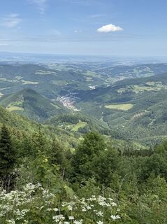 Foto von Karl Roth Tulln entlang der Tour