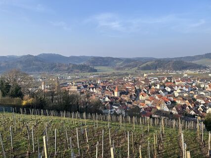 Zdjęcie z Ralf Umminger wzdłuż trasy